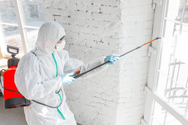 Best Commercial Mold Inspection  in Pelican Marsh, FL